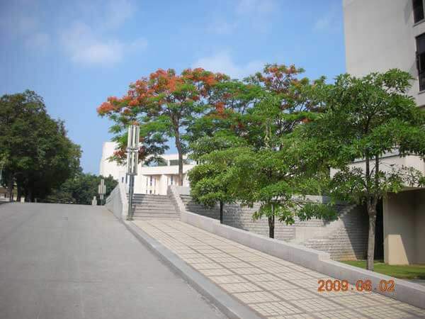 校路